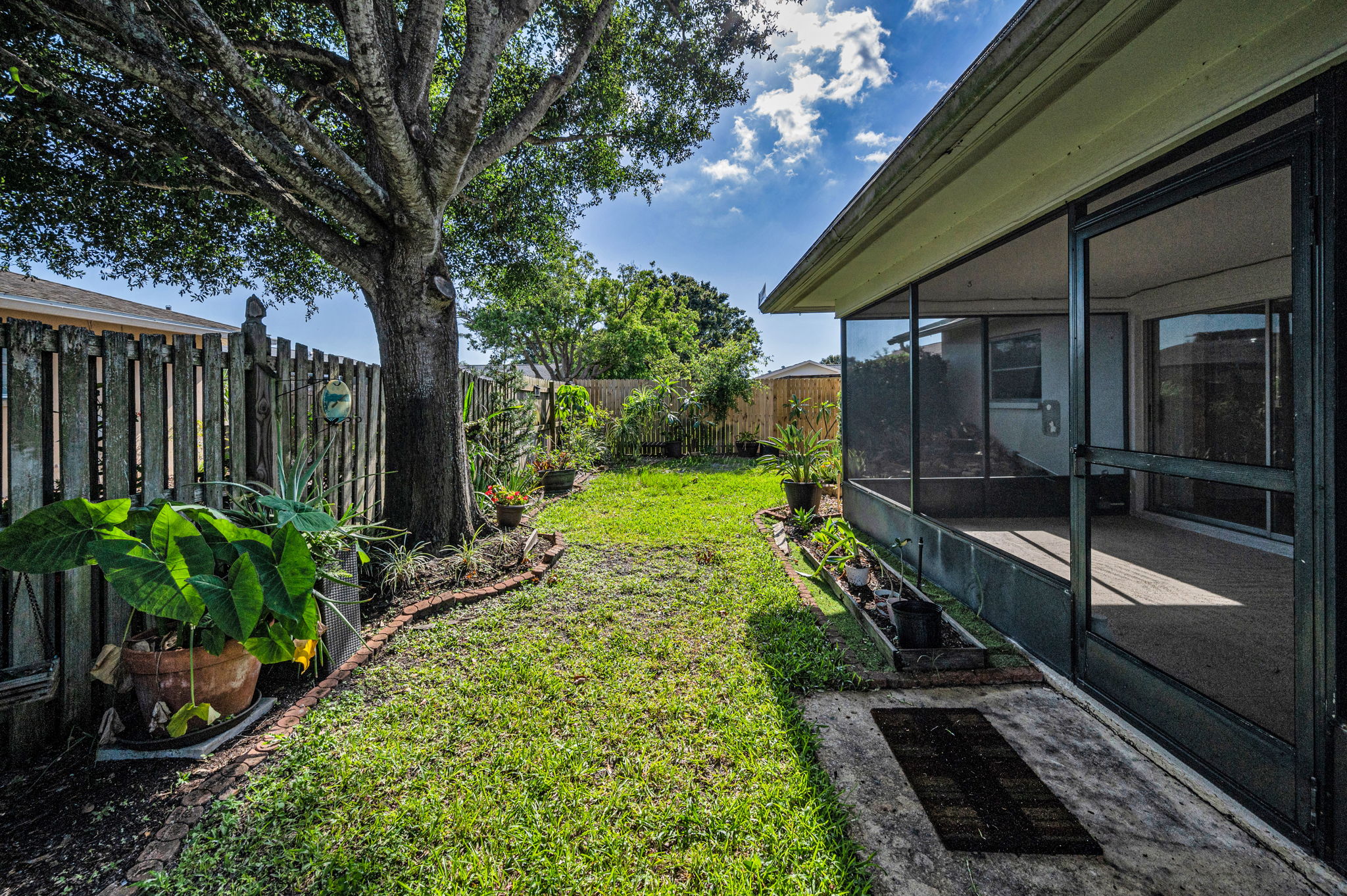 Backyard2