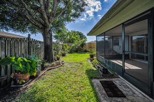 Backyard2