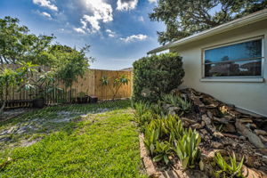 Backyard3