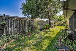 Backyard4
