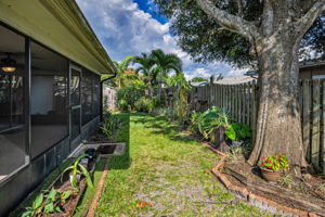 Backyard7