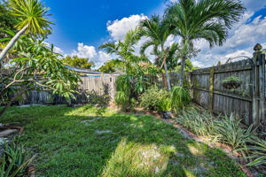 Backyard8