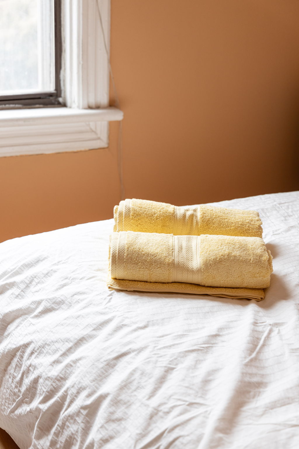Toronto property showcase — delivered property photograph 31