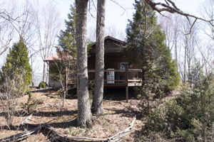  Photo 0