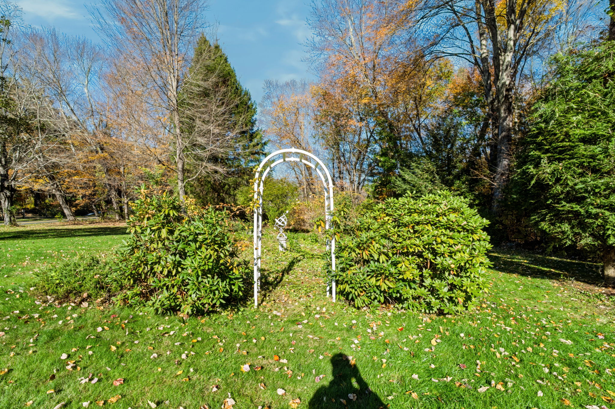  Photo 40
