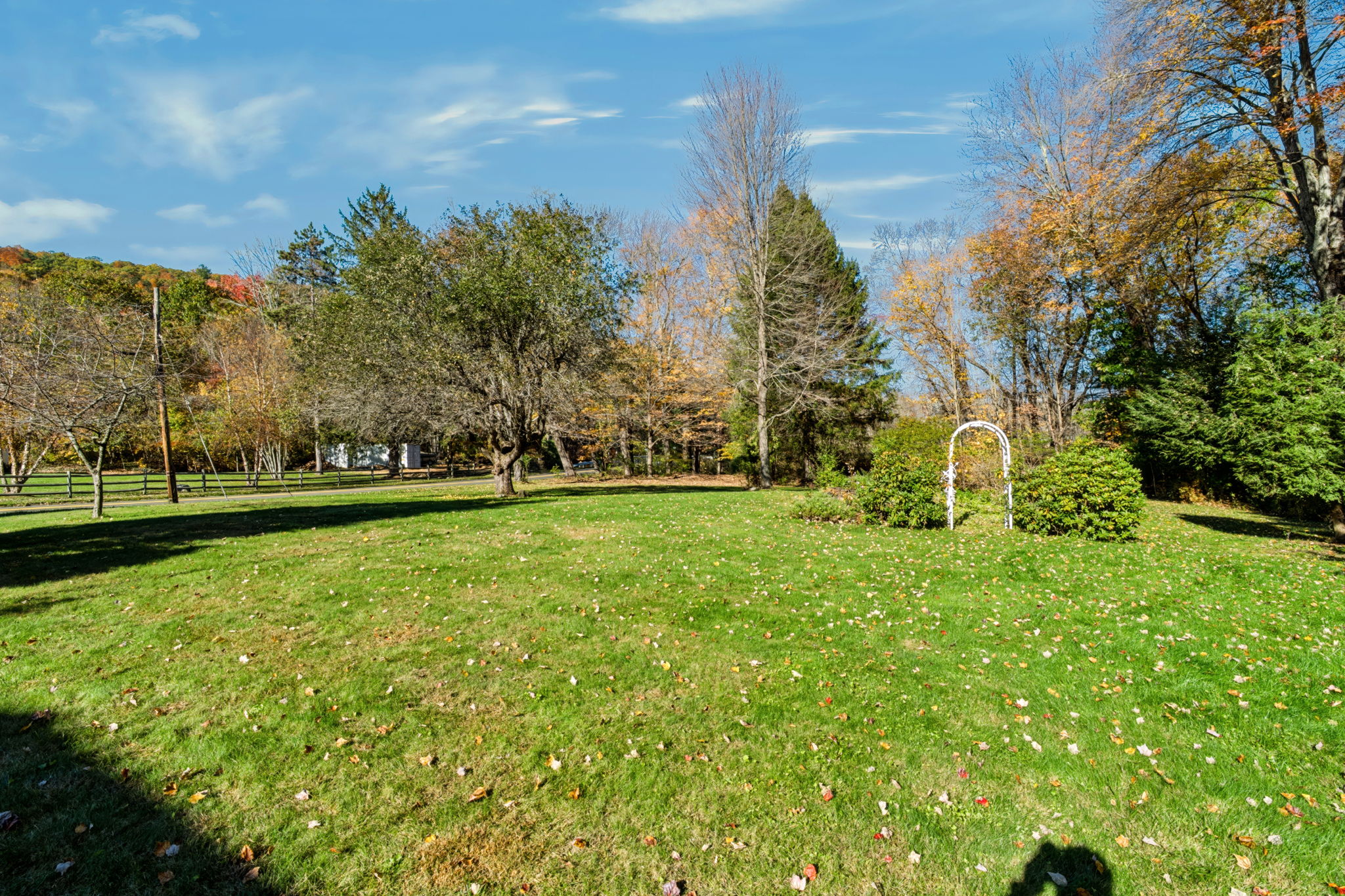  Photo 41