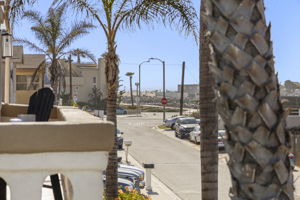  Photo 49