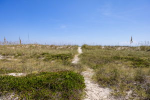  Photo 49
