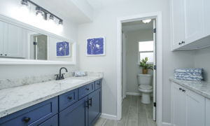  Photo 45