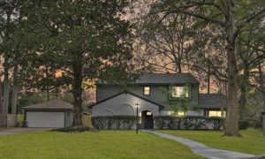  Photo 0