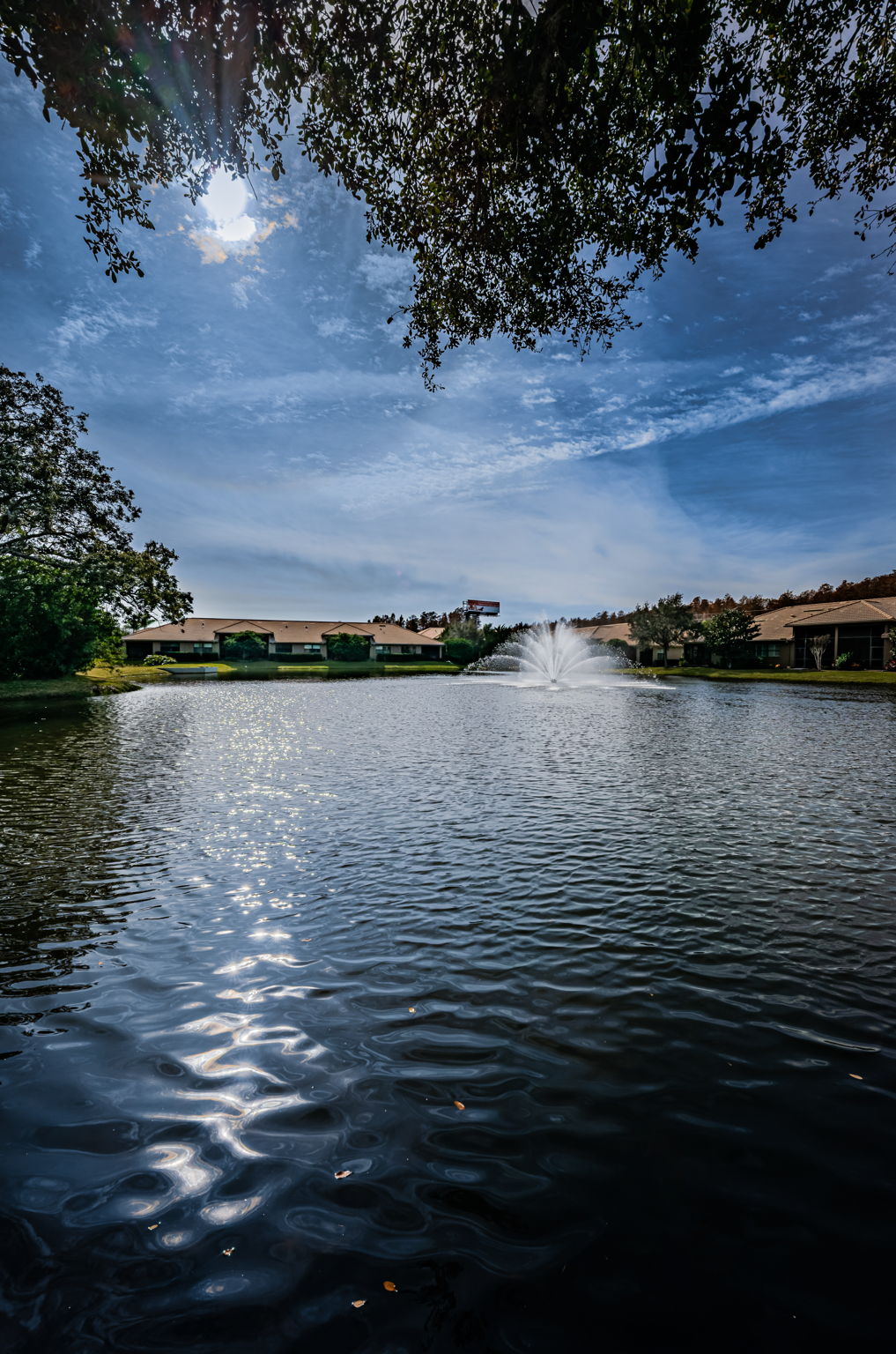 Backyard Water View2