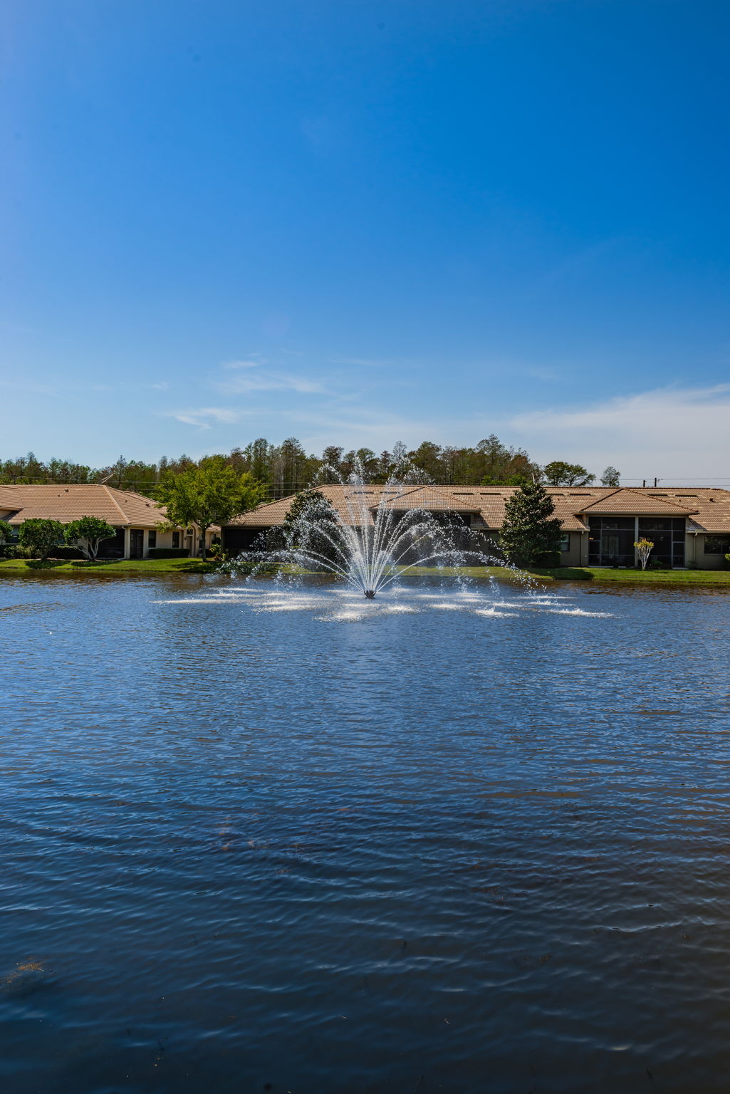 11-Tarpon Ridge Community Pond