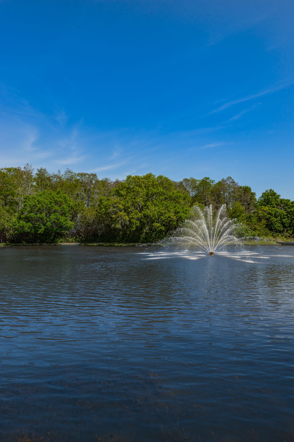 18-Tarpon Ridge Community Pond