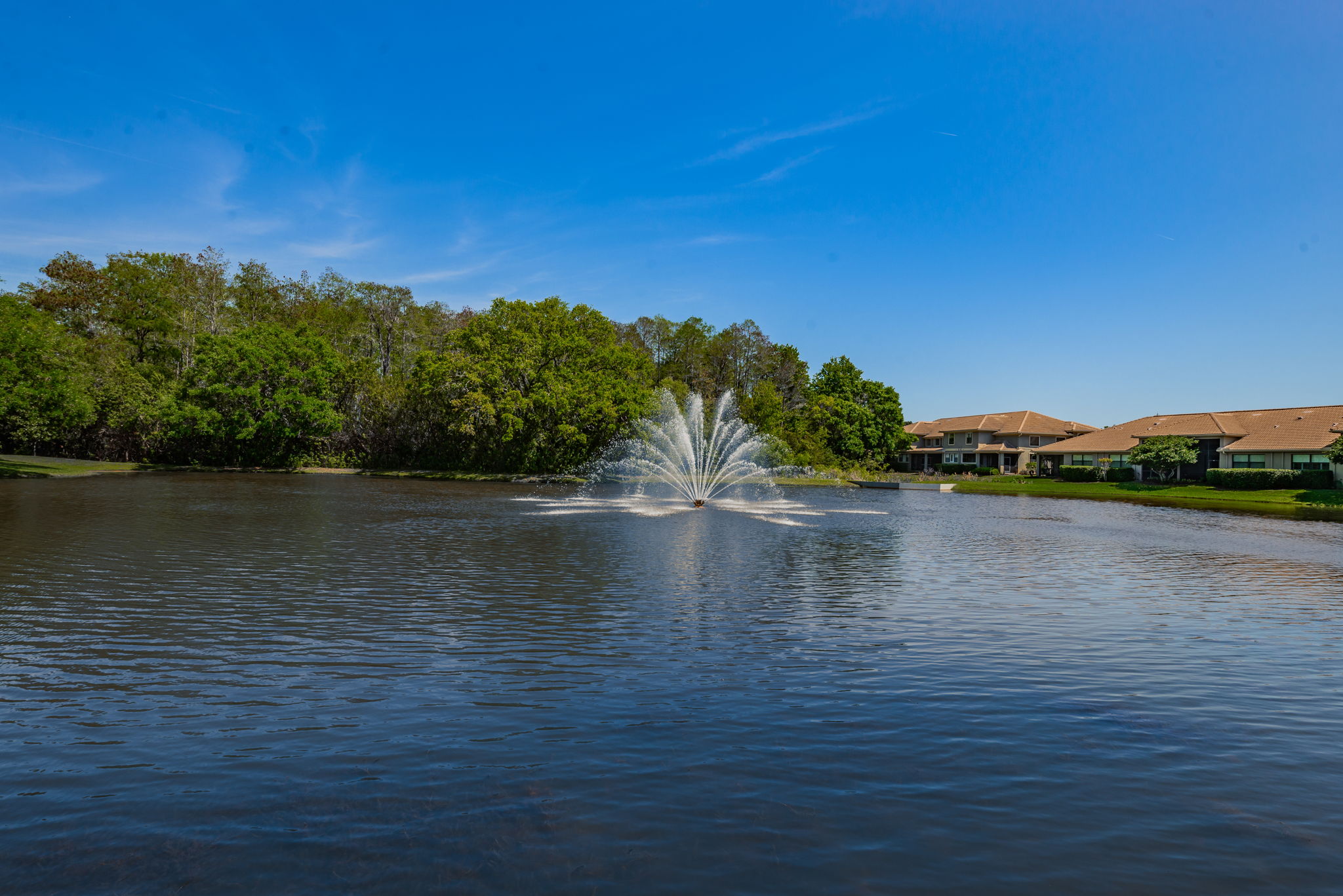 17-Tarpon Ridge Community Pond