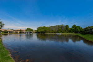 19-Tarpon Ridge Community Pond