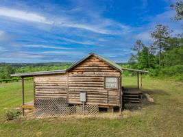  Photo 46