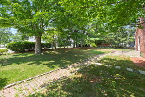  Photo 0