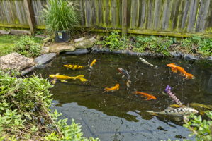  Photo 53