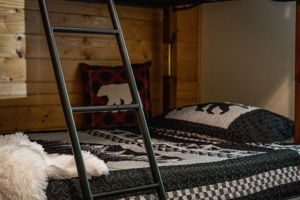  Photo 52