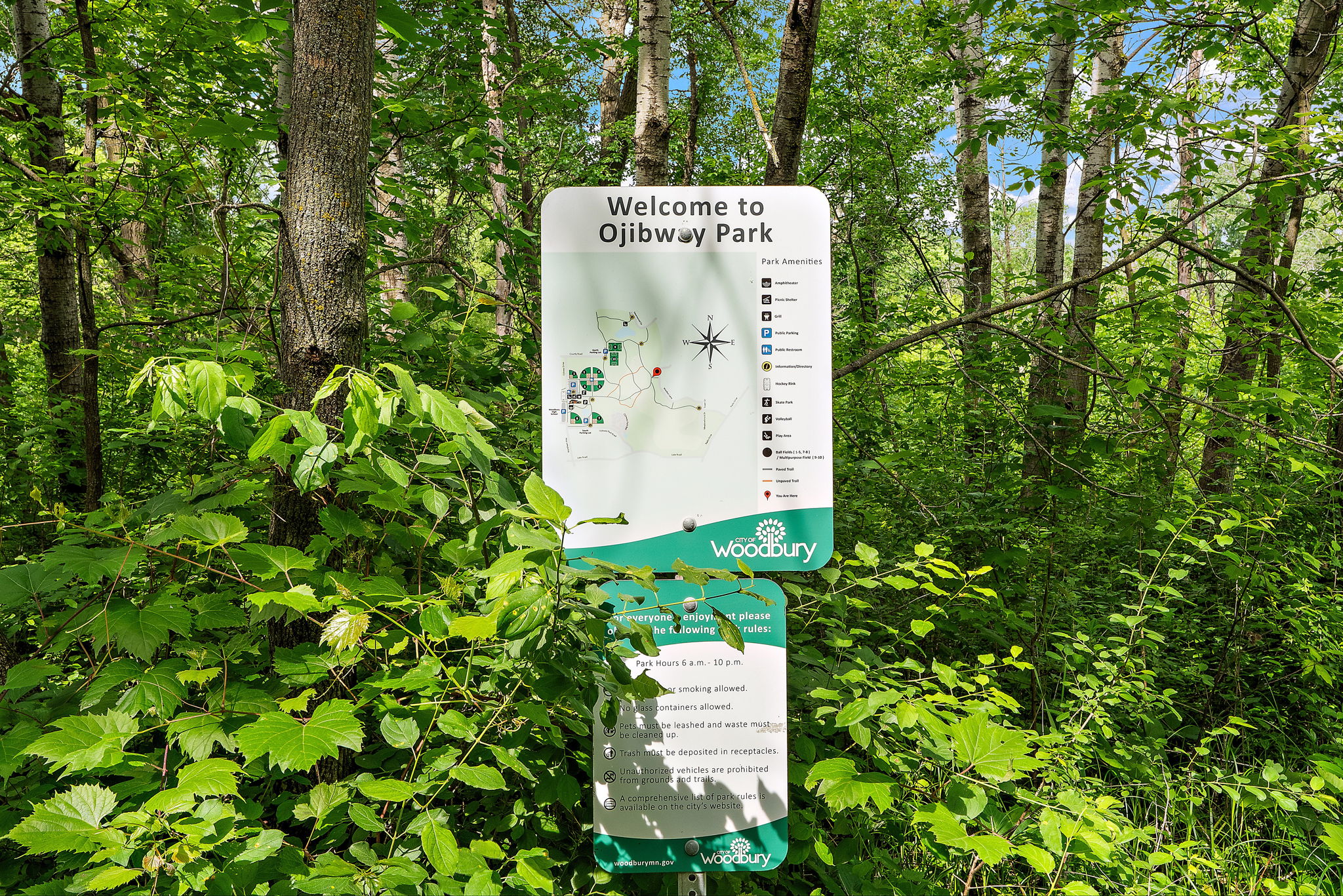 UAV Vision Media (30)