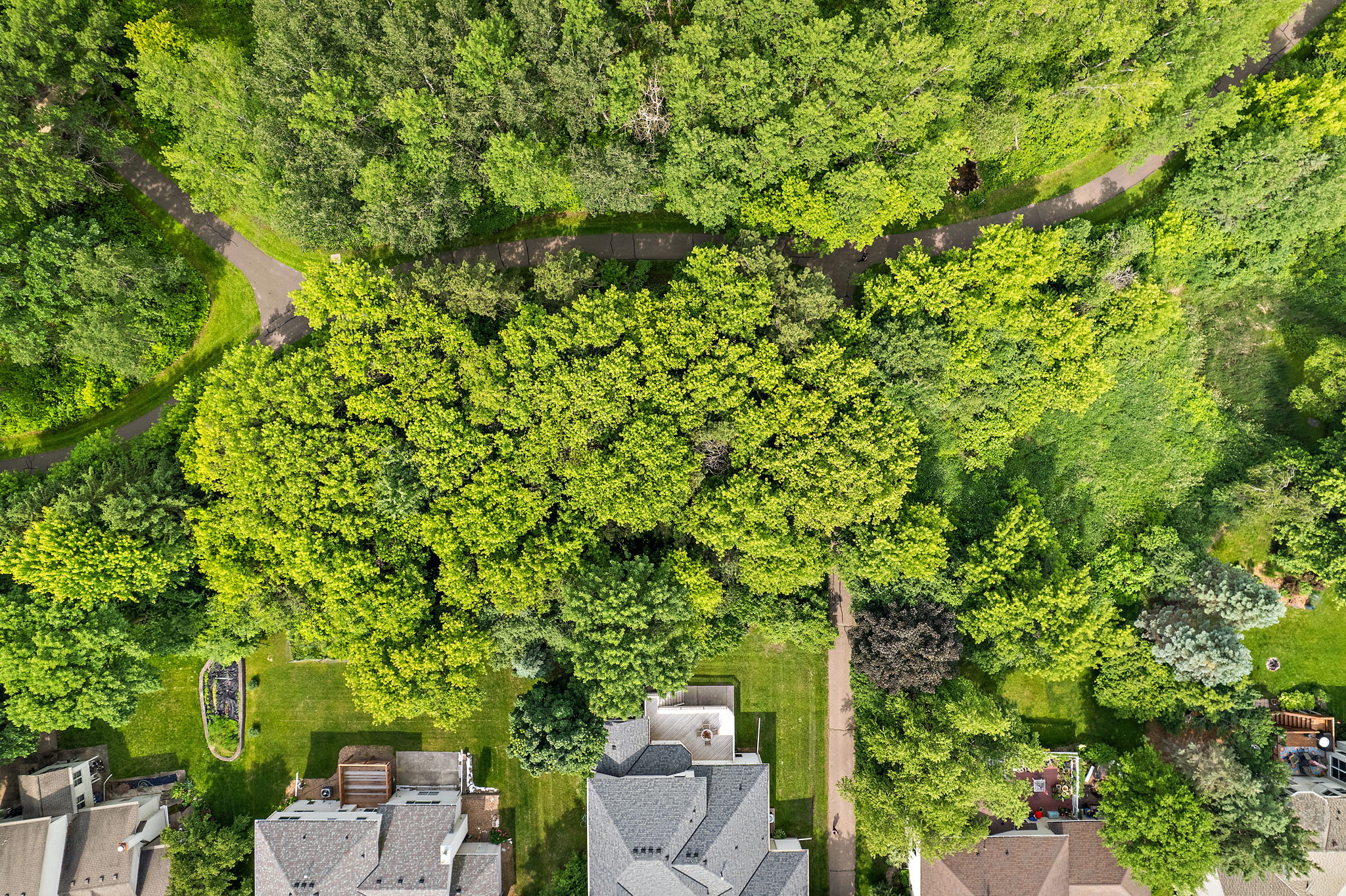 UAV Vision Media (54)