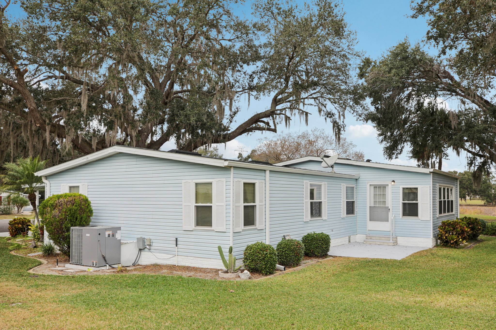 Oak Aly-S1501-048.jpg