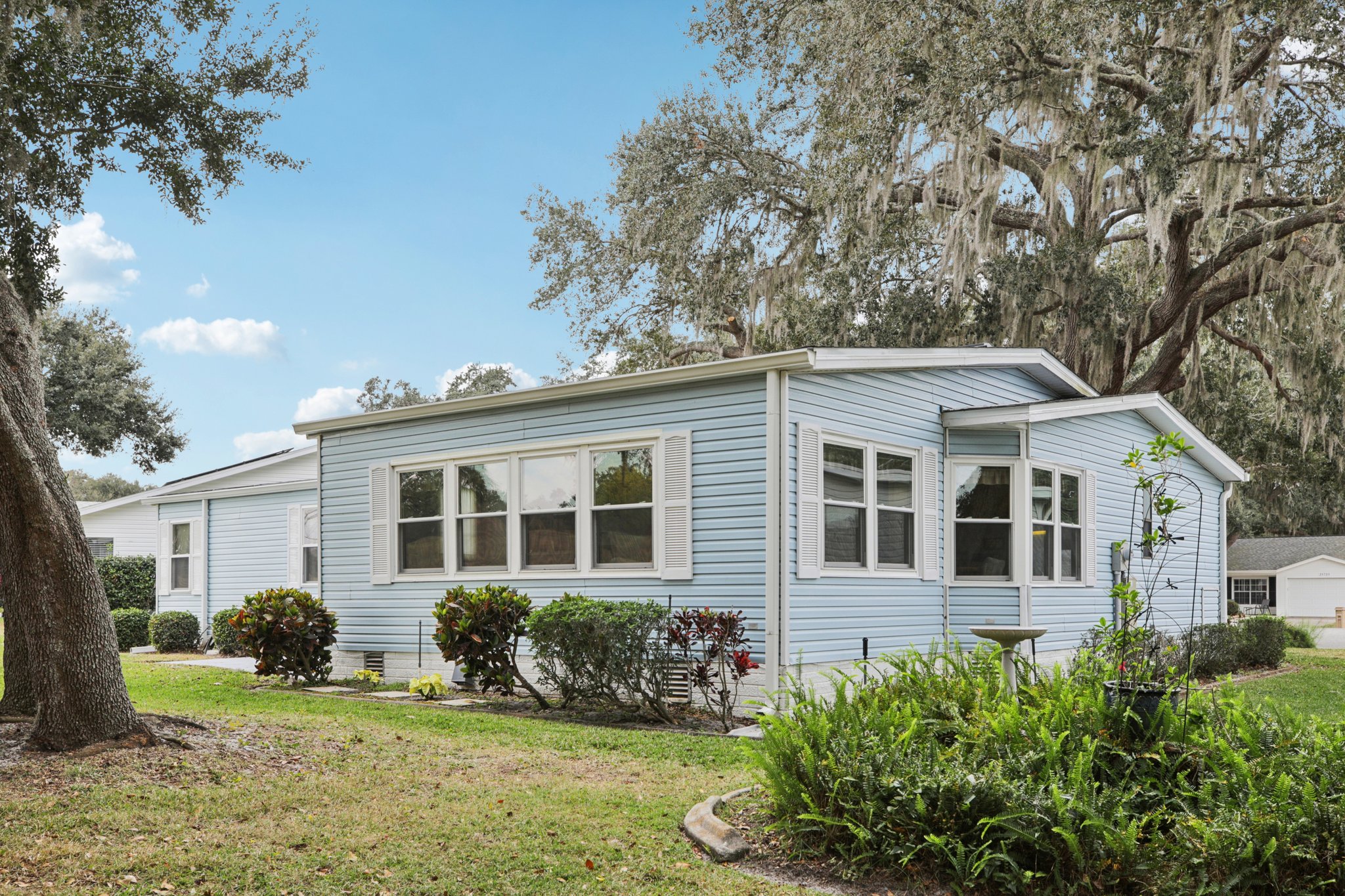 Oak Aly-S1501-051.jpg