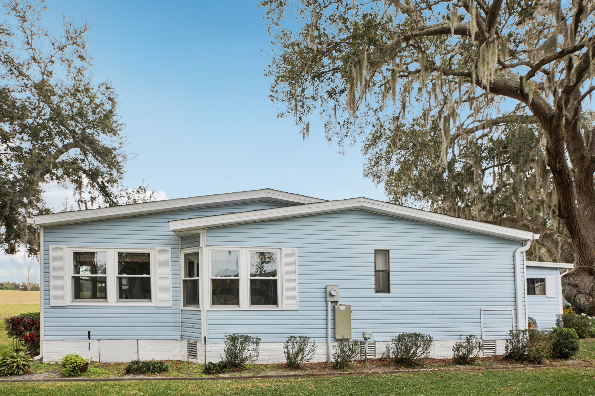 Oak Aly-S1501-052.jpg