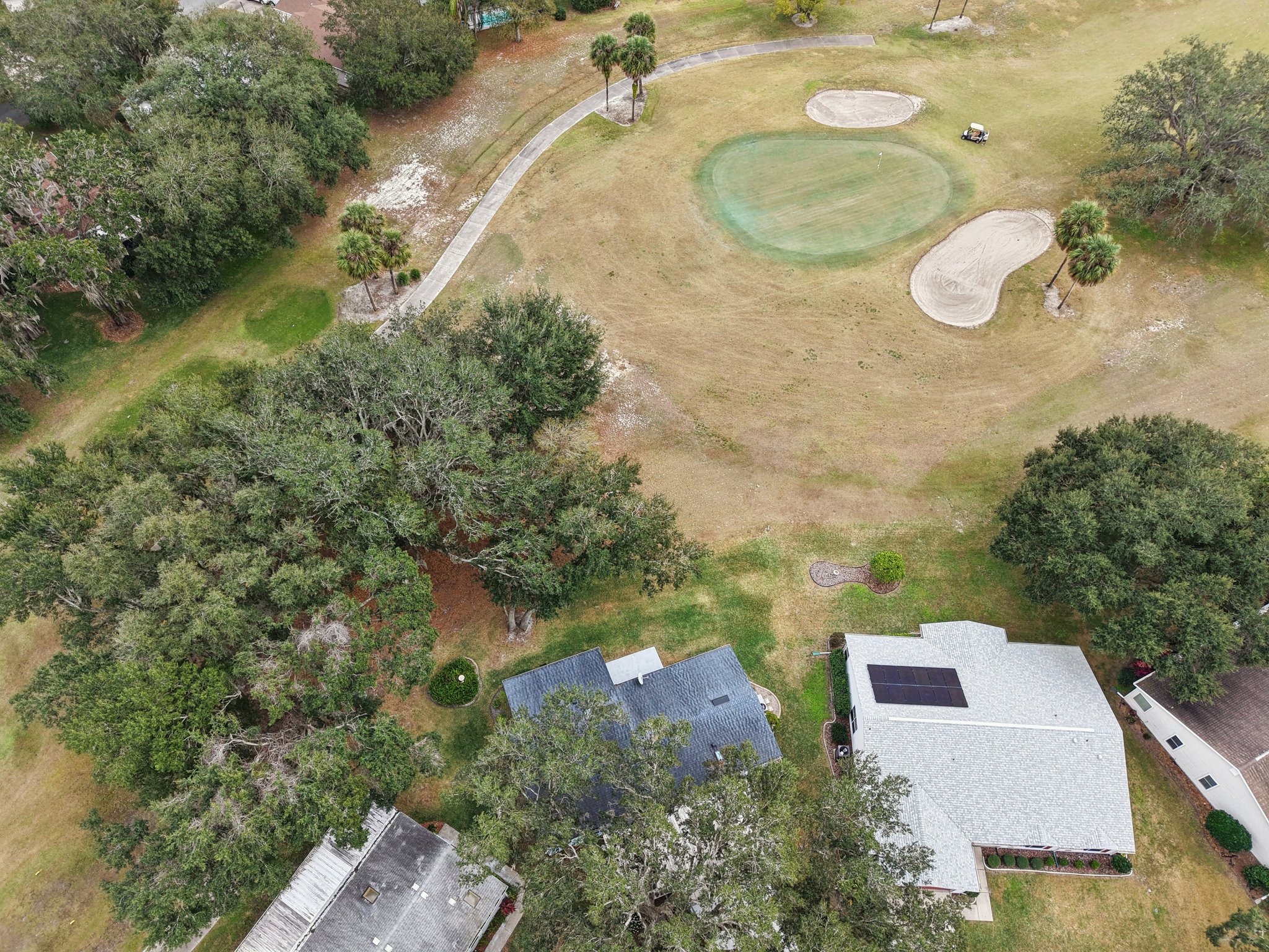 Oak Aly-S1501-065.jpg