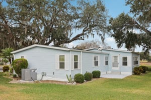 Oak Aly-S1501-048.jpg