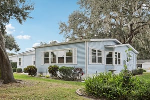 Oak Aly-S1501-051.jpg