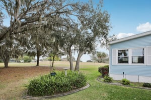 Oak Aly-S1501-053.jpg