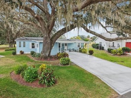 Oak Aly-S1501-055.jpg