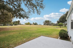 Oak Aly-S1501-056.jpg