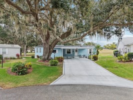 Oak Aly-S1501-058.jpg