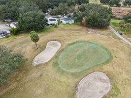 Oak Aly-S1501-062.jpg