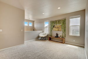 Reed Grass Way -025