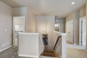 Reed Grass Way -037
