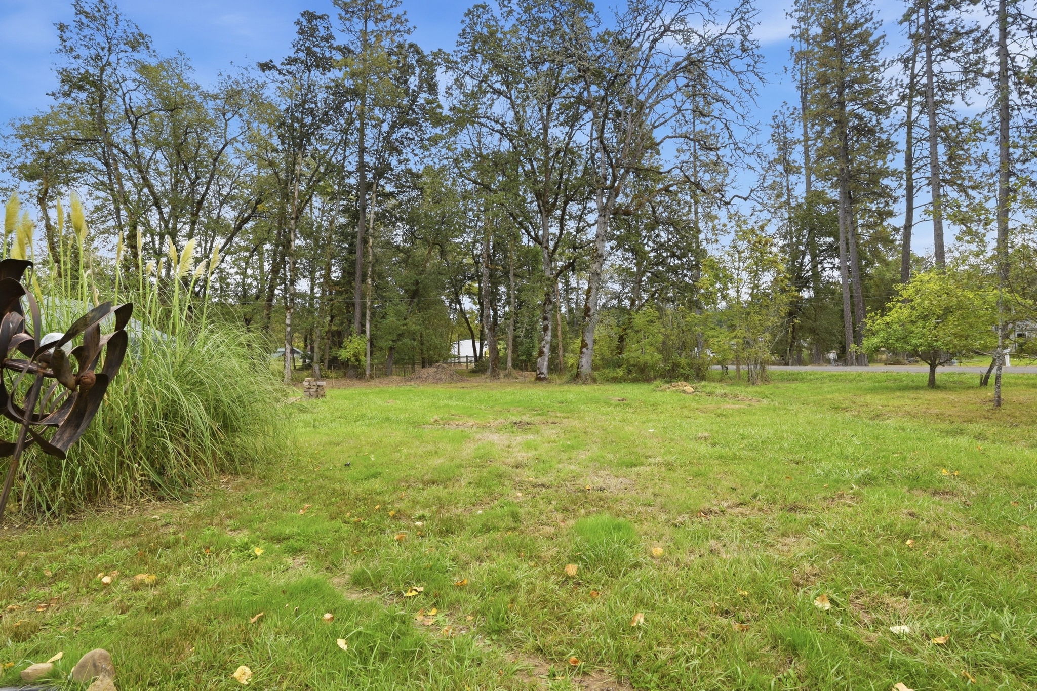  Photo 41