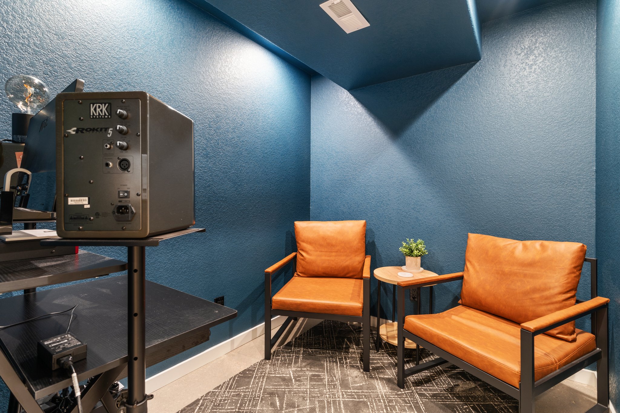 Basement Flex Room