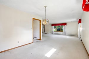 Tod Ln-S0606-017.jpg
