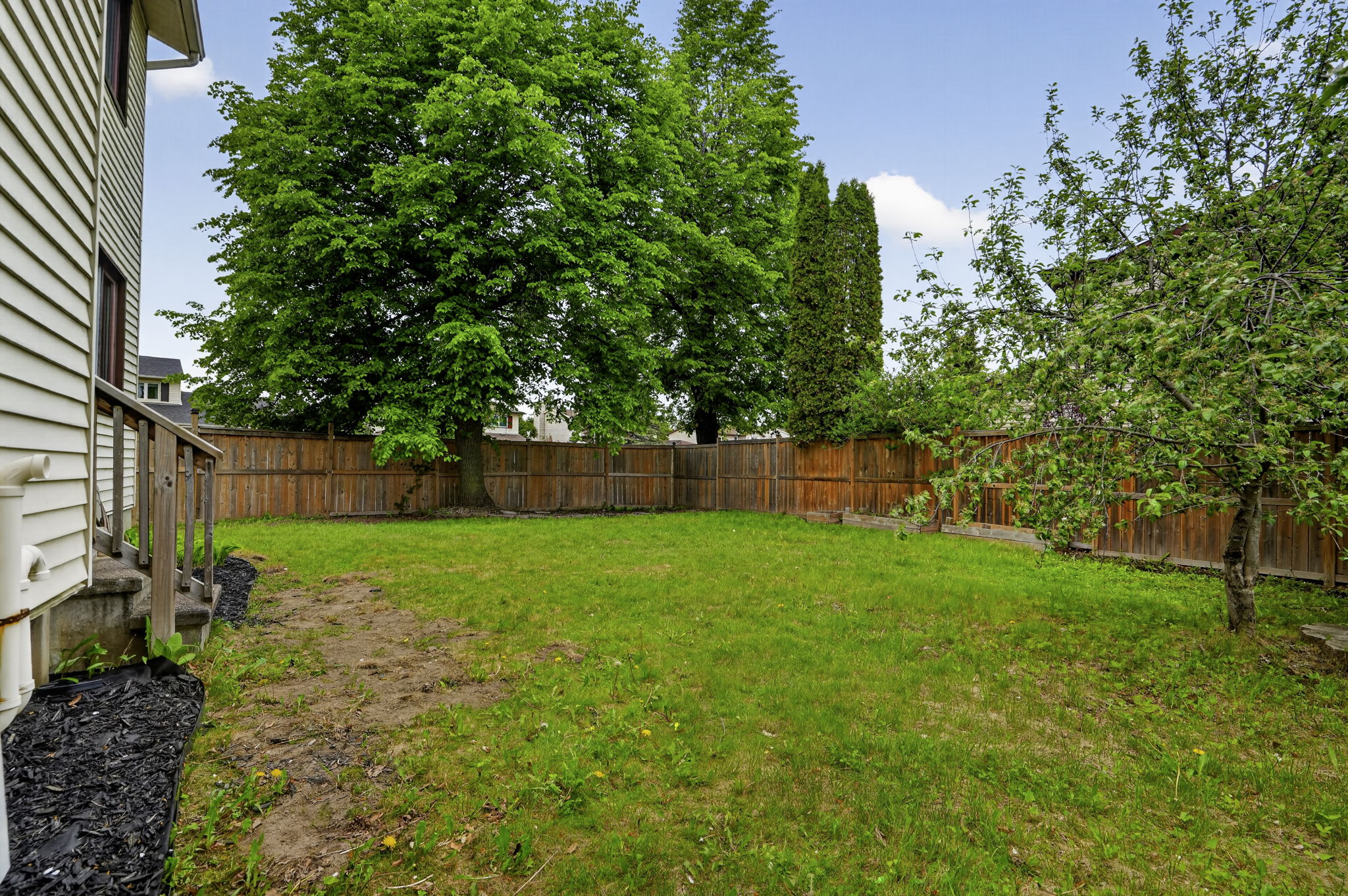  Photo 49