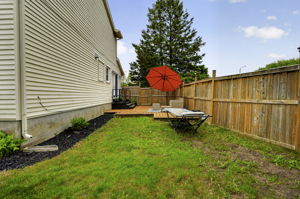  Photo 52