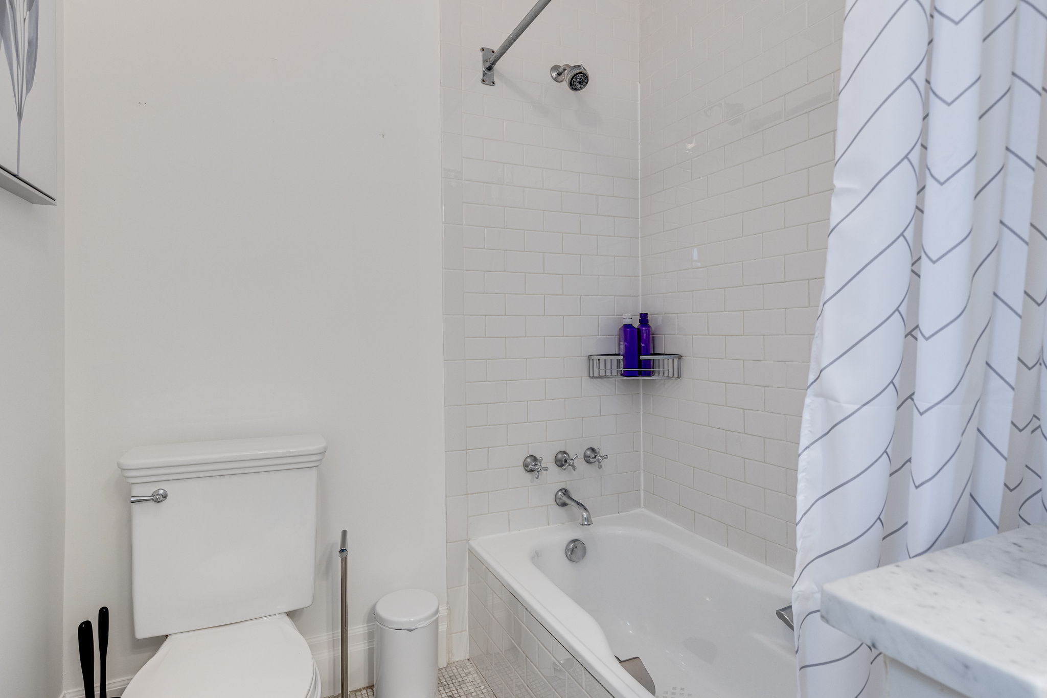 Toronto property showcase — delivered property photograph 17
