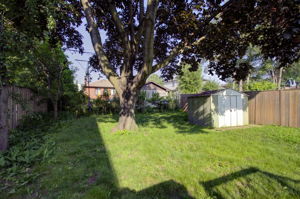  Photo 34