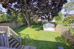  Photo 39