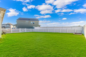 36. MLS