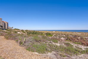 Ocean View