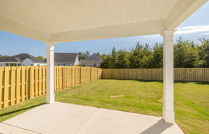  Photo 48