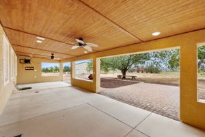 Back Patio_1